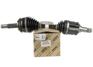 WhatsApp Image 2025-02-19 at 22.01.59 (1)