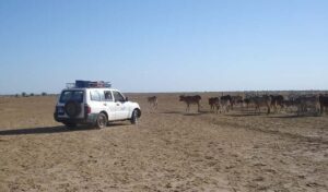 medecins-du-fleuve-senegal-001.t