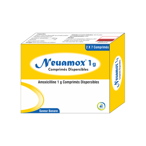 20251126_163729_0038