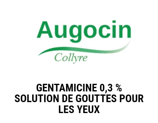 WhatsApp Image 2025-12-11 at 03.08.11 (2)