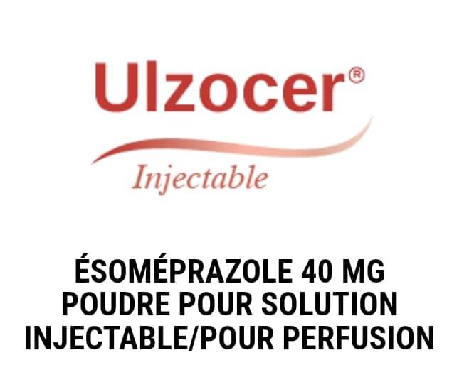 WhatsApp Image 2025-12-11 at 03.08.15 (1)