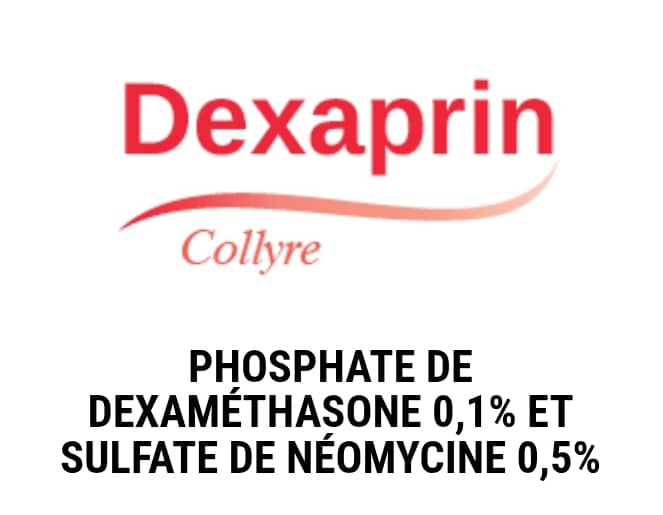 WhatsApp Image 2025-12-11 at 03.24.38