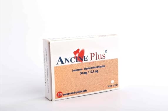 WhatsApp Image 2025-12-11 at 04.11.47