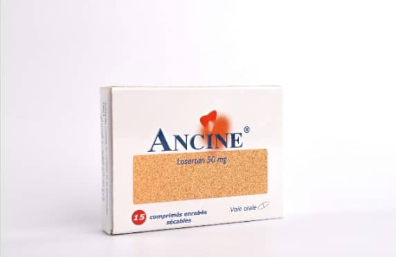 WhatsApp Image 2025-12-11 at 04.11.48 (1)